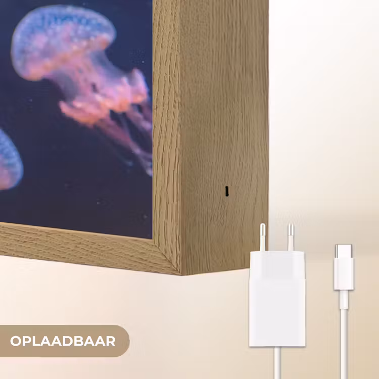 Dier - Onderwater - Natuur - Roze - Mysterieus Light Box met batterij (Wandlamp) middel -USP_websiteoplaadbaarNL