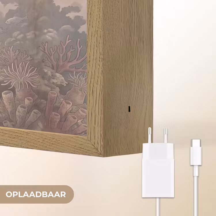 Dier - Onderwater - Oceaan - Illustratie - Zeeleven Light Box met batterij (Wandlamp) middel -USP_websiteoplaadbaarNL