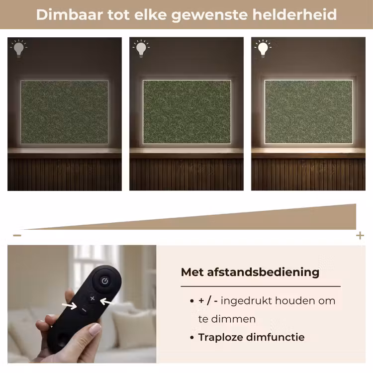 Donker - Groen - Krullend - Botanisch Light Box met batterij (Wandlamp) middel 907 -USP_dimbaarNL