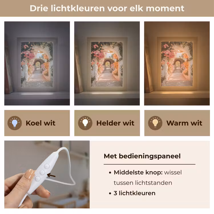 Doorkijk - Boog - Bloemen - Pastel Light Box met kabel (Wandlamp) klein -USP_lichtkleurNL