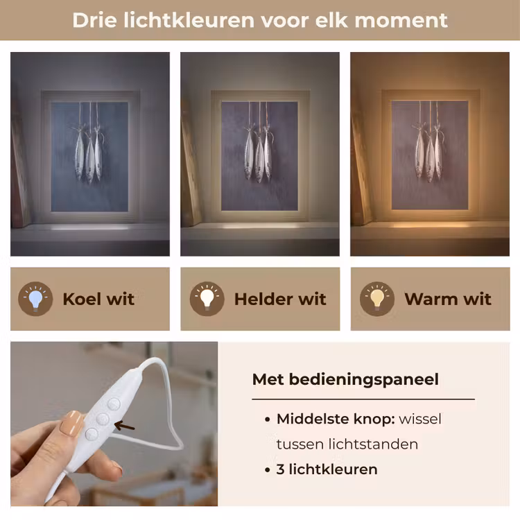 Lightbox - Wandlamp - Drie vissen - Touw - Drie vissen - Touw Light Box met kabel (Wandlamp) klein