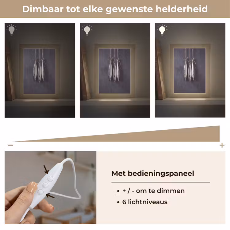 Lightbox - Wandlamp - Drie vissen - Touw - Drie vissen - Touw Light Box met kabel (Wandlamp) klein