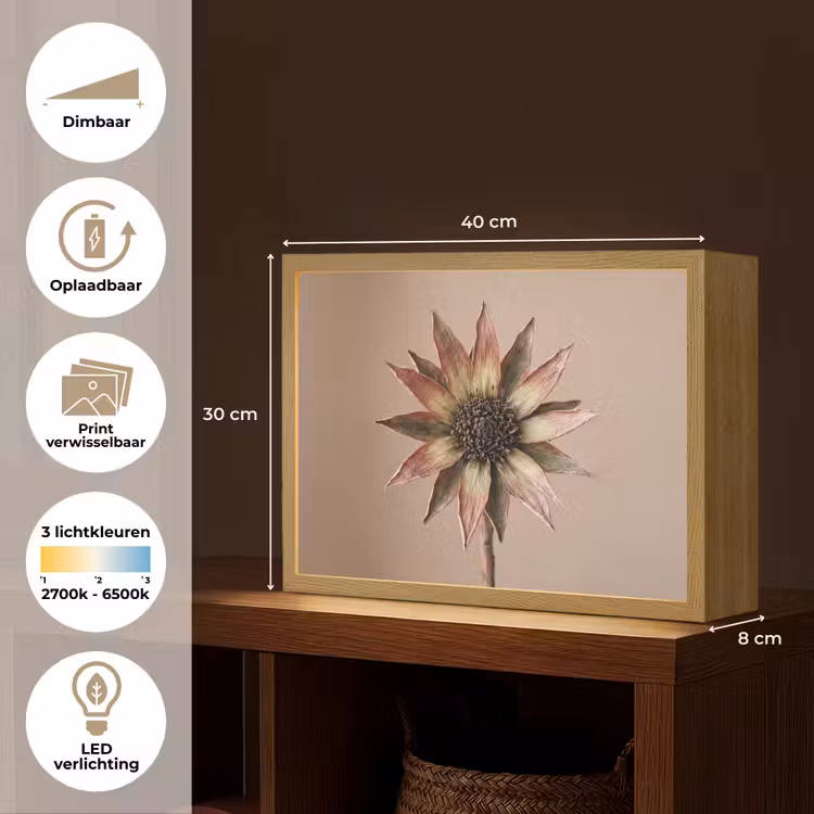 Droogbloem - Protea - Vintage - Beige - Rustiek Light Box met batterij (Wandlamp) middel -USP_websiteoverzichtNL