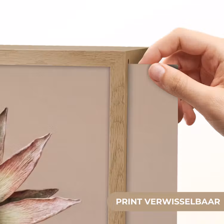 Droogbloem - Protea - Vintage - Beige - Rustiek Light Box met batterij (Wandlamp) middel -USP_websiteprintNL