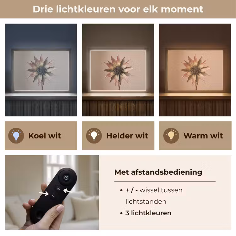 Droogbloem - Protea - Vintage - Beige - Rustiek Light Box met batterij (Wandlamp) middel -USP_lichtkleurNL