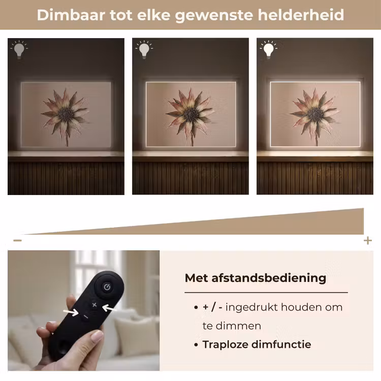 Droogbloem - Protea - Vintage - Beige - Rustiek Light Box met batterij (Wandlamp) middel -USP_dimbaarNL