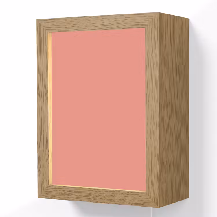 Dusty - Peach - Koraal Light Box met kabel (Wandlamp) klein 929 -3d