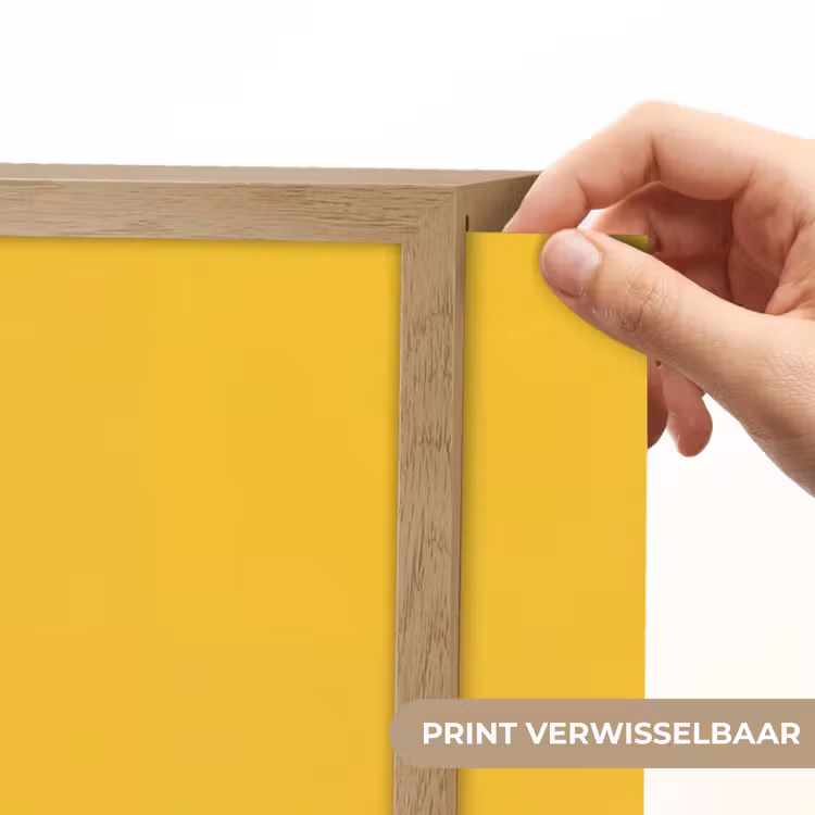 Eend - Zonnebril - Geel Light Box met batterij (Wandlamp) middel -USP_websiteprintNL