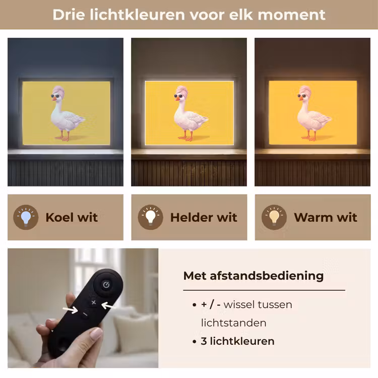 Eend - Zonnebril - Geel Light Box met batterij (Wandlamp) middel -USP_lichtkleurNL
