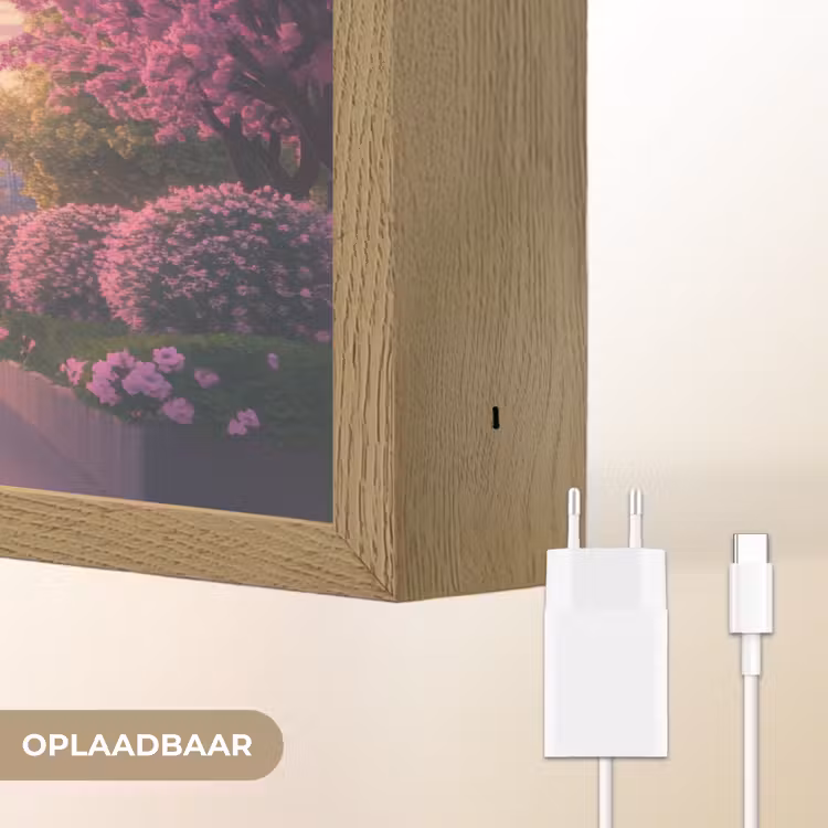 Eiffeltoren - Parijs - Roze Light Box met batterij (Wandlamp) middel -USP_websiteoplaadbaarNL