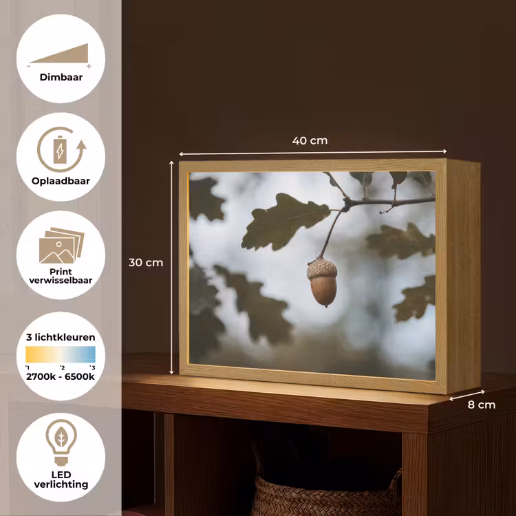 Eikel - Eikenblad - Bos - Herfst - Natuur Light Box met batterij (Wandlamp) middel -USP_websiteoverzichtNL