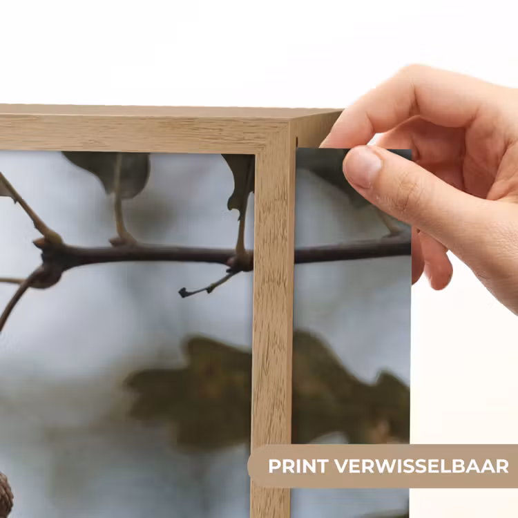 Eikel - Eikenblad - Bos - Herfst - Natuur Light Box met batterij (Wandlamp) middel -USP_websiteprintNL