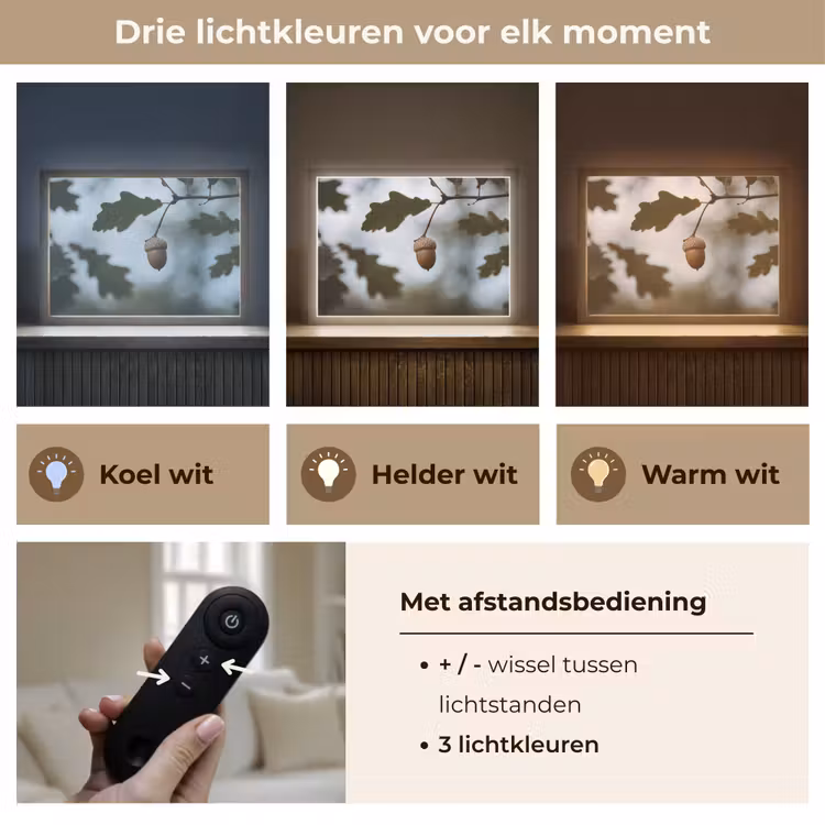 Eikel - Eikenblad - Bos - Herfst - Natuur Light Box met batterij (Wandlamp) middel -USP_lichtkleurNL