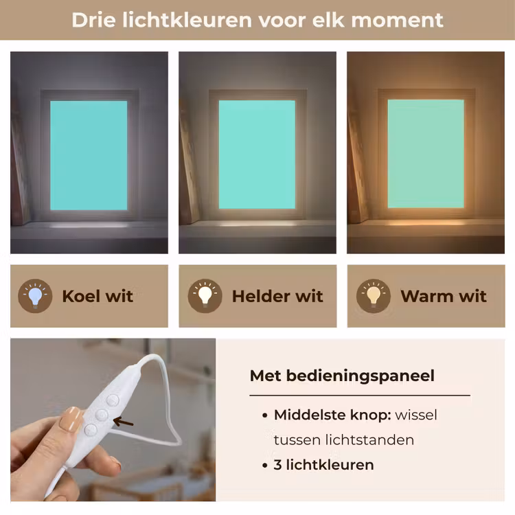 Electric - Cyan - Turkoois Light Box met kabel (Wandlamp) klein 929 -USP_lichtkleurNL