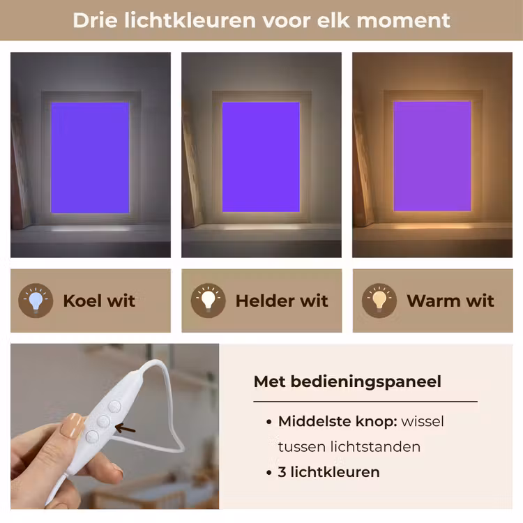 Electric - Indigo - Paars Light Box met kabel (Wandlamp) klein 929 -USP_lichtkleurNL