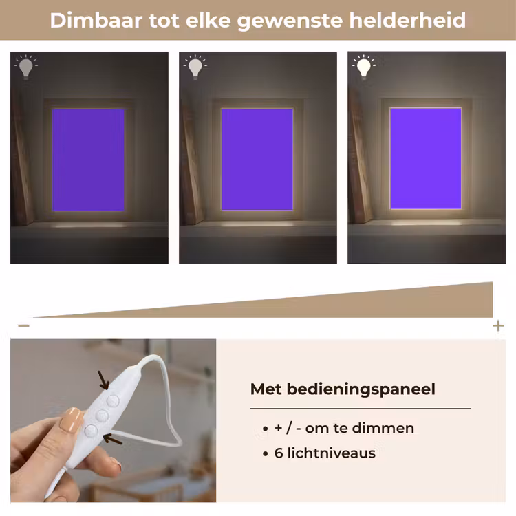 Electric - Indigo - Paars Light Box met kabel (Wandlamp) klein 929 -USP_dimbaarNL