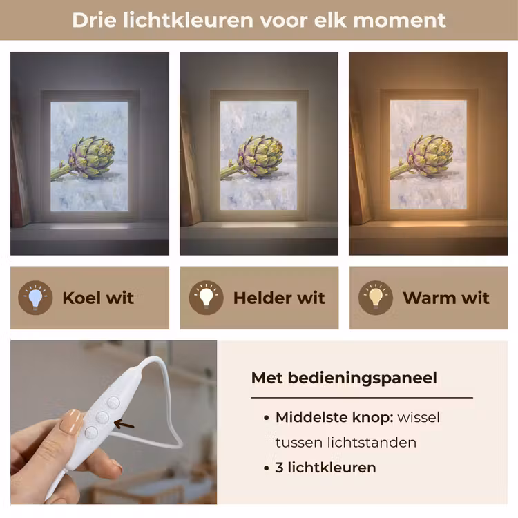 Lightbox - Wandlamp - Eten - Artisjok - Modern - Eten - Artisjok - Modern Light Box met kabel (Wandlamp) klein
