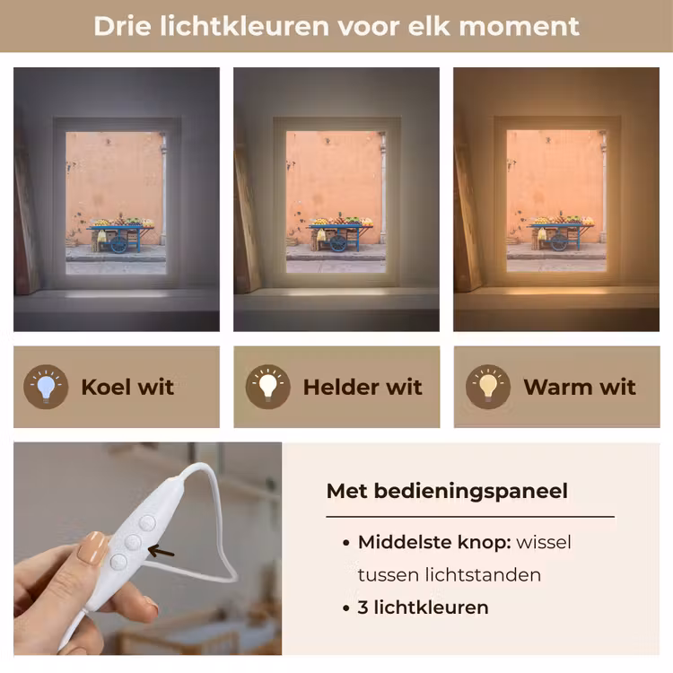 Lightbox - Wandlamp - Fruit - Kar - Straat - Fruit - Kar - Straat Light Box met kabel (Wandlamp) klein