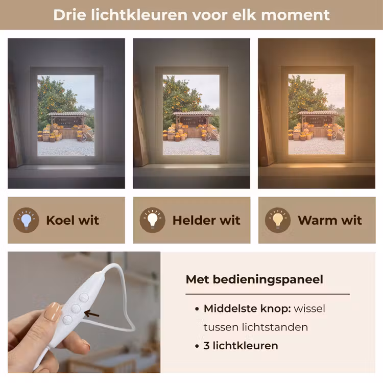 Lightbox - Wandlamp - Fruit - Markt - Landelijk - Fruit - Markt - Landelijk Light Box met kabel (Wandlamp) klein