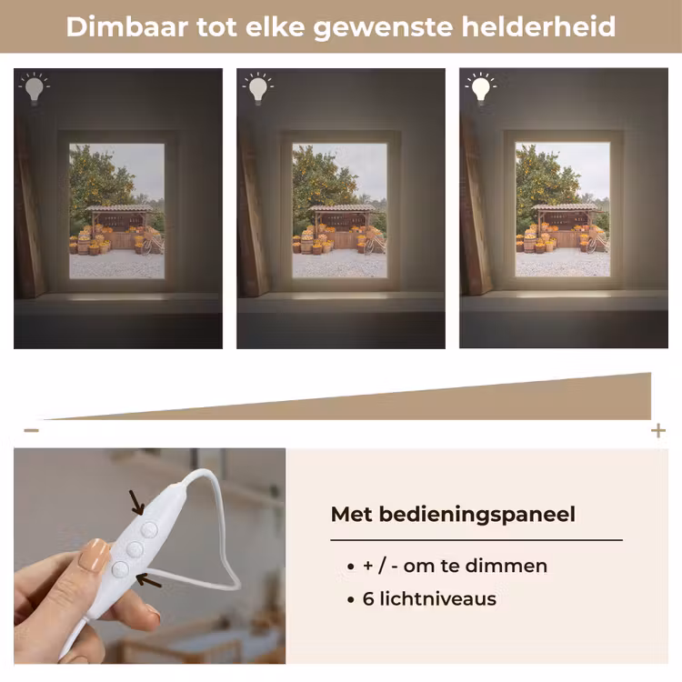 Lightbox - Wandlamp - Fruit - Markt - Landelijk - Fruit - Markt - Landelijk Light Box met kabel (Wandlamp) klein