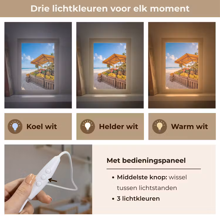Lightbox - Wandlamp - Fruit - Strand - Tropisch - Fruit - Strand - Tropisch Light Box met kabel (Wandlamp) klein