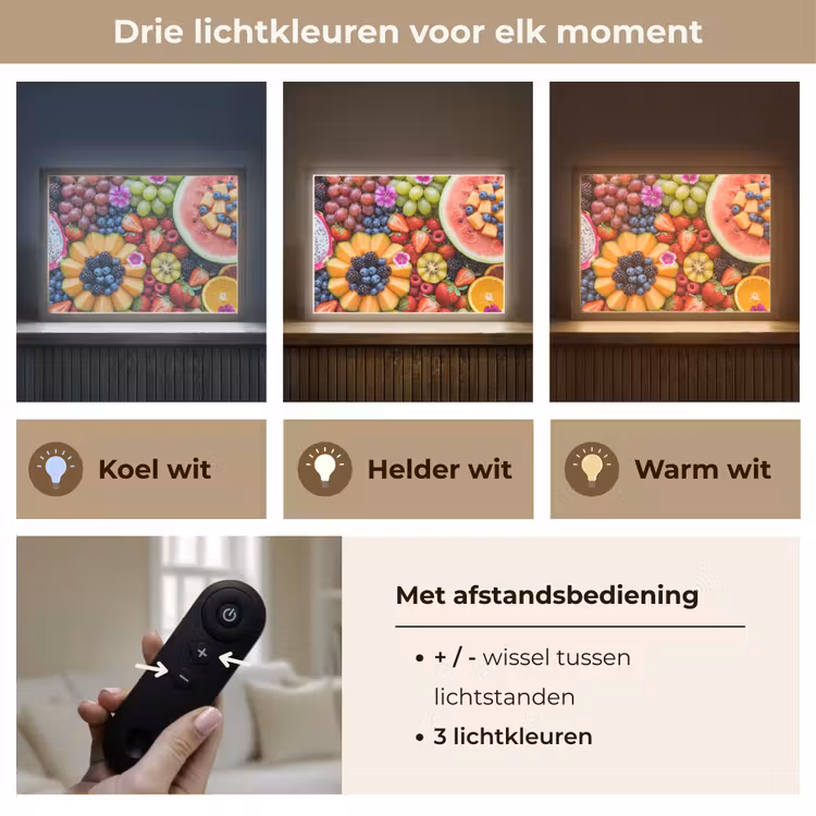 Fruit - Vers - Variatie - Eten - Kleurrijk Light Box met batterij (Wandlamp) middel -USP_lichtkleurNL