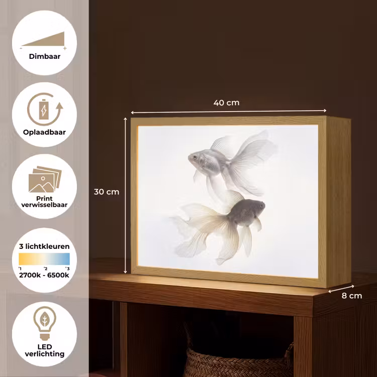 Goudvissen - Modern - Wit Light Box met batterij (Wandlamp) middel -USP_websiteoverzichtNL