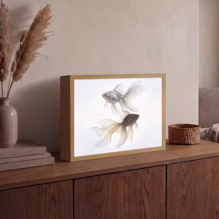 Goudvissen - Modern - Wit Light Box met batterij (Wandlamp) middel -sfeer2