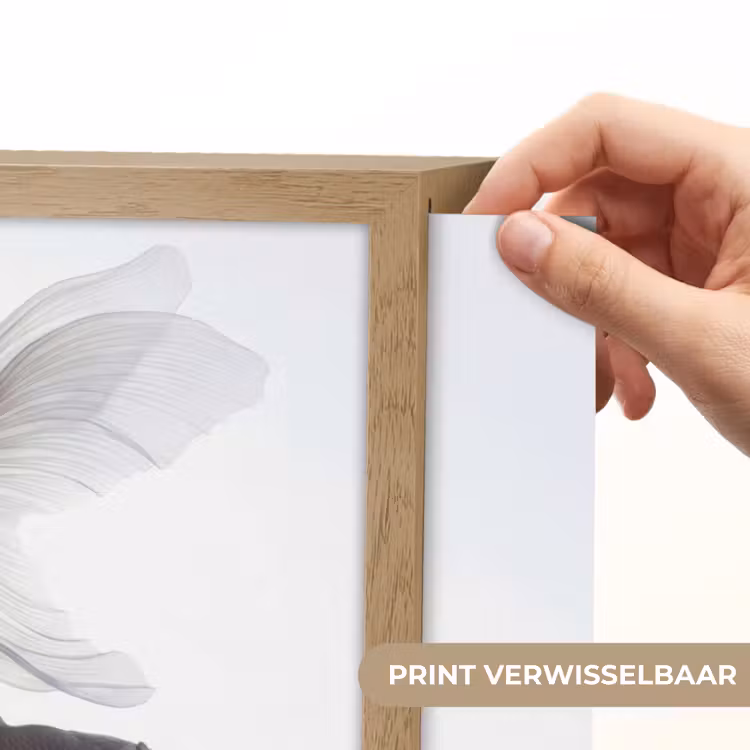 Goudvissen - Modern - Wit Light Box met batterij (Wandlamp) middel -USP_websiteprintNL