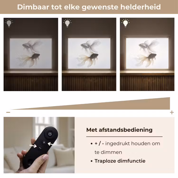 Goudvissen - Modern - Wit Light Box met batterij (Wandlamp) middel -USP_dimbaarNL