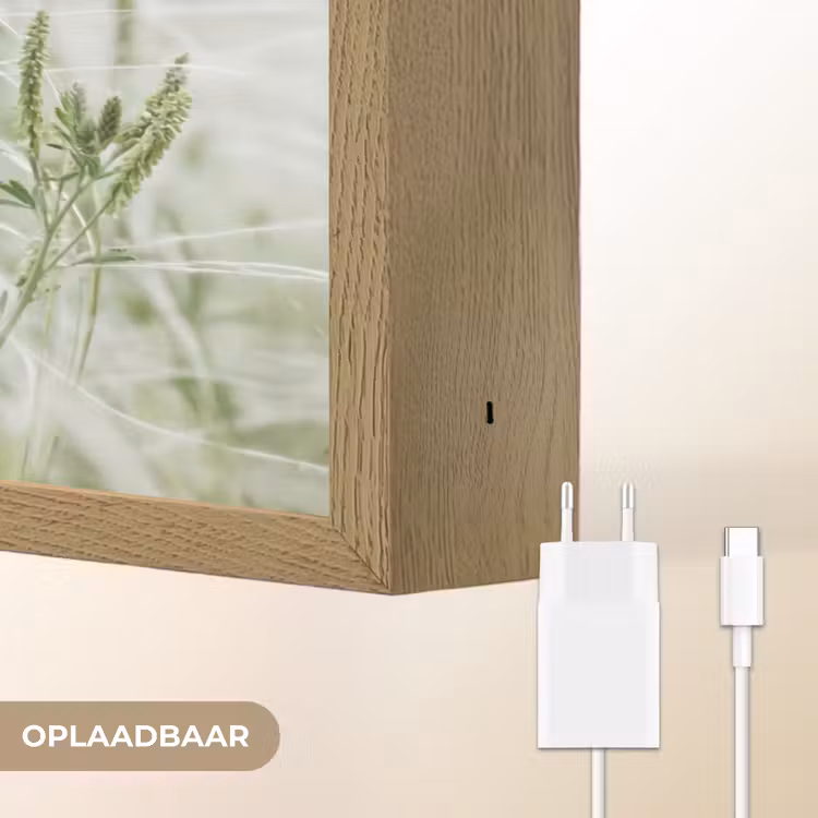 Grassen - Minimalistisch - Groen Light Box met batterij (Wandlamp) middel -USP_websiteoplaadbaarNL