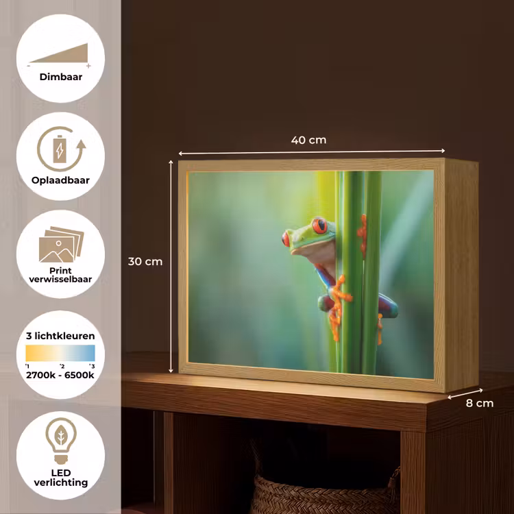 Groene kikker - Nieuwsgierig - Gras Light Box met batterij (Wandlamp) middel -USP_websiteoverzichtNL