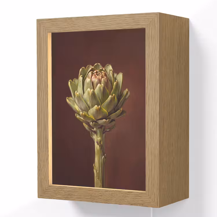 Lightbox - Wandlamp - Groente - Artisjok - Groen - Groente - Artisjok - Groen Light Box met kabel (Wandlamp) klein