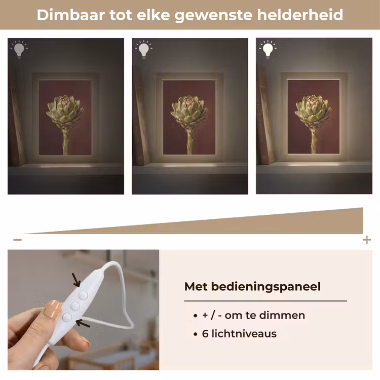Lightbox - Wandlamp - Groente - Artisjok - Groen - Groente - Artisjok - Groen Light Box met kabel (Wandlamp) klein