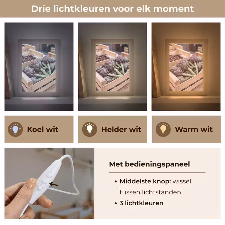 Lightbox - Wandlamp - Groenten - Markt - Vers - Groenten - Markt - Vers Light Box met kabel (Wandlamp) klein