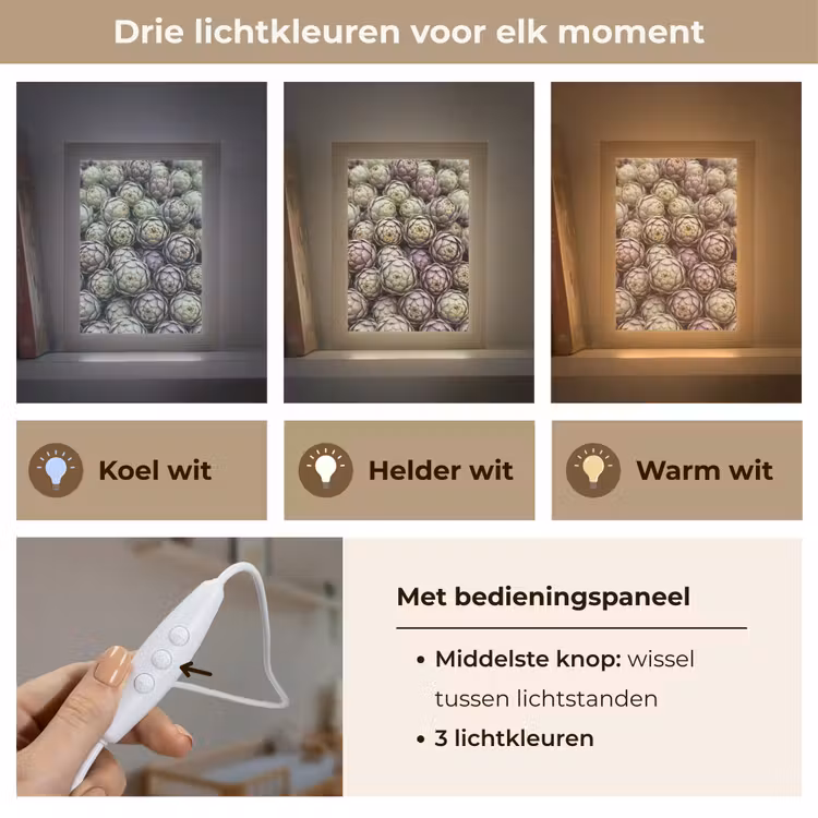 Lightbox - Wandlamp - Groenten - Vers - Eten - Groenten - Vers - Eten Light Box met kabel (Wandlamp) klein