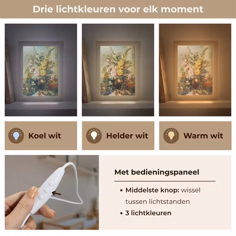 Grote vaas met bloemen - Josep Mirabent - Oude meesters Light Box met kabel (Wandlamp) klein -USP_lichtkleurNL