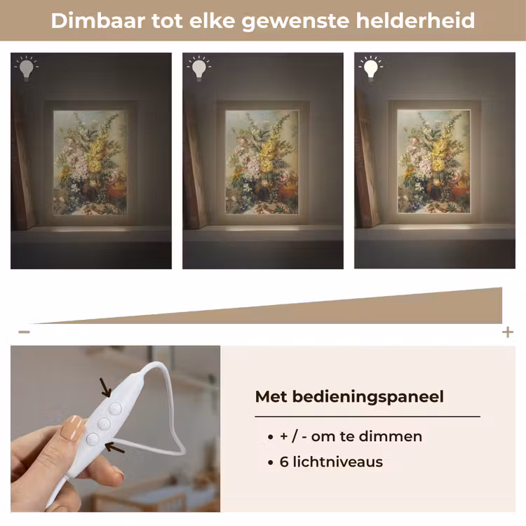 Grote vaas met bloemen - Josep Mirabent - Oude meesters Light Box met kabel (Wandlamp) klein -USP_dimbaarNL