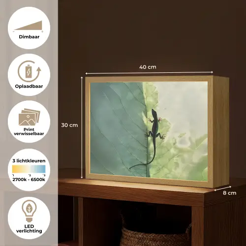 Hagedis - Blad - Nerven - Groen Light Box met batterij (Wandlamp) middel -USP_websiteoverzichtNL