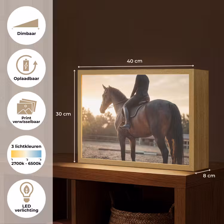 Harmonie - Ruiter - Zon Light Box met batterij (Wandlamp) middel -USP_websiteoverzichtNL