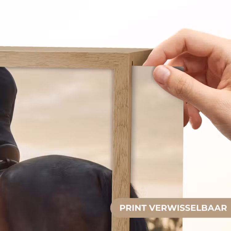 Harmonie - Ruiter - Zon Light Box met batterij (Wandlamp) middel -USP_websiteprintNL