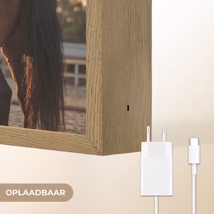 Harmonie - Ruiter - Zon Light Box met batterij (Wandlamp) middel -USP_websiteoplaadbaarNL