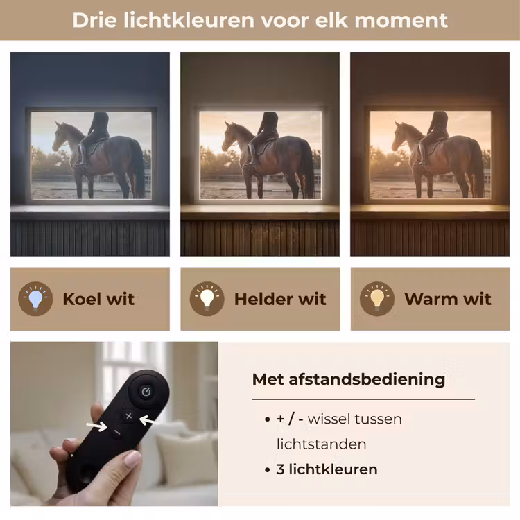 Harmonie - Ruiter - Zon Light Box met batterij (Wandlamp) middel -USP_lichtkleurNL