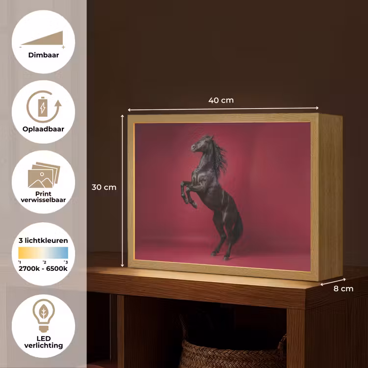 Hengst - Steigert - Rood Light Box met batterij (Wandlamp) middel -USP_websiteoverzichtNL