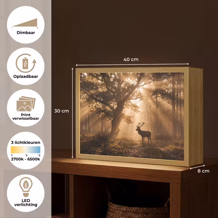 Hert - Bos - Mistig - Natuur - Goud Light Box met batterij (Wandlamp) middel -USP_websiteoverzichtNL