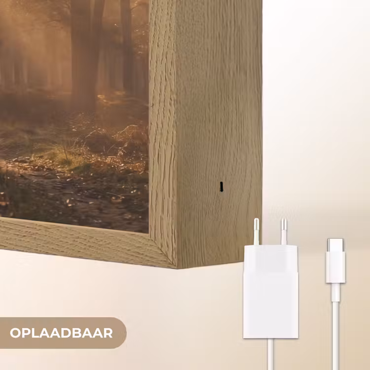 Hert - Bos - Mistig - Natuur - Goud Light Box met batterij (Wandlamp) middel -USP_websiteoplaadbaarNL