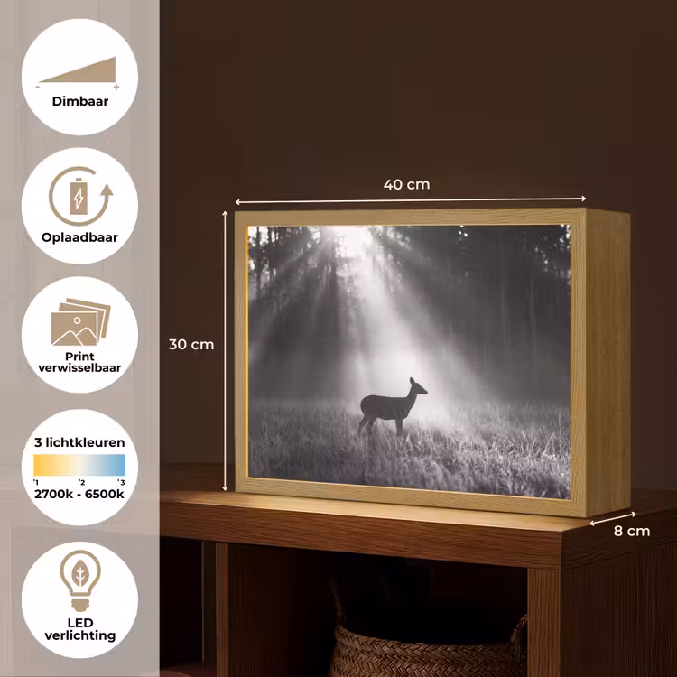 Hert - Bos - Zonnestralen - Zwart-wit - Natuur Light Box met batterij (Wandlamp) middel -USP_websiteoverzichtNL