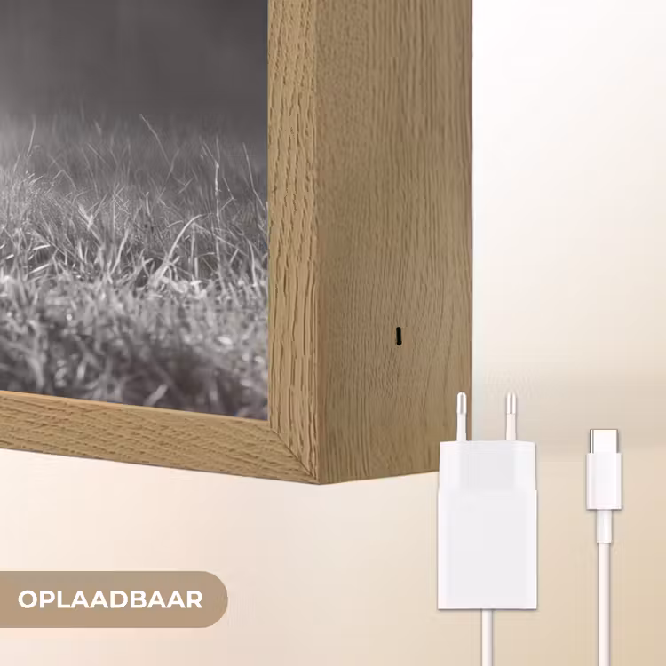 Hert - Bos - Zonnestralen - Zwart-wit - Natuur Light Box met batterij (Wandlamp) middel -USP_websiteoplaadbaarNL