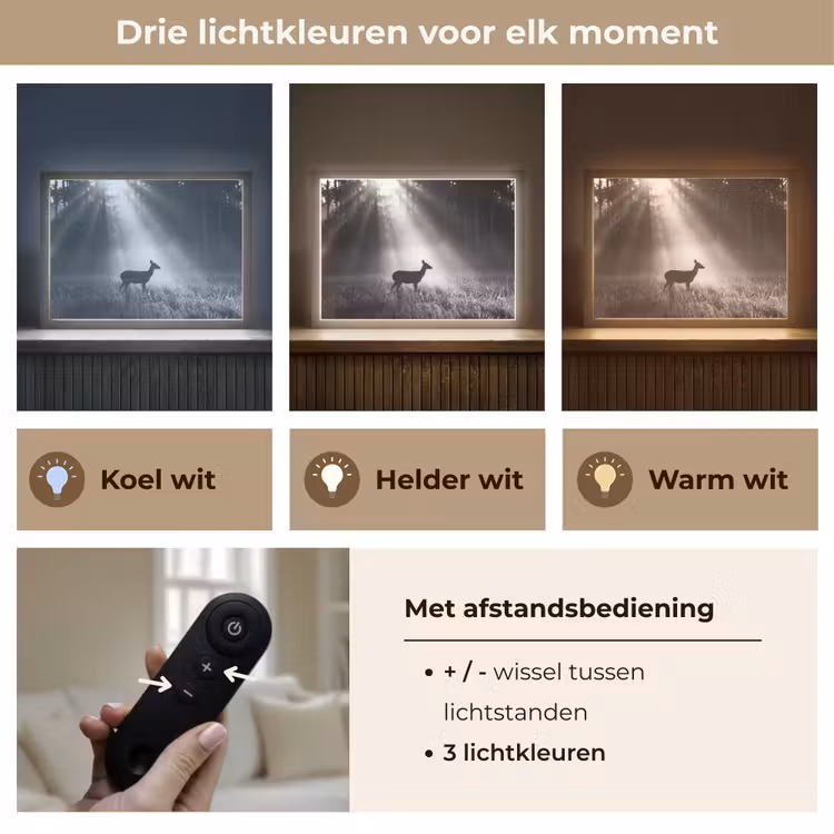 Hert - Bos - Zonnestralen - Zwart-wit - Natuur Light Box met batterij (Wandlamp) middel -USP_lichtkleurNL