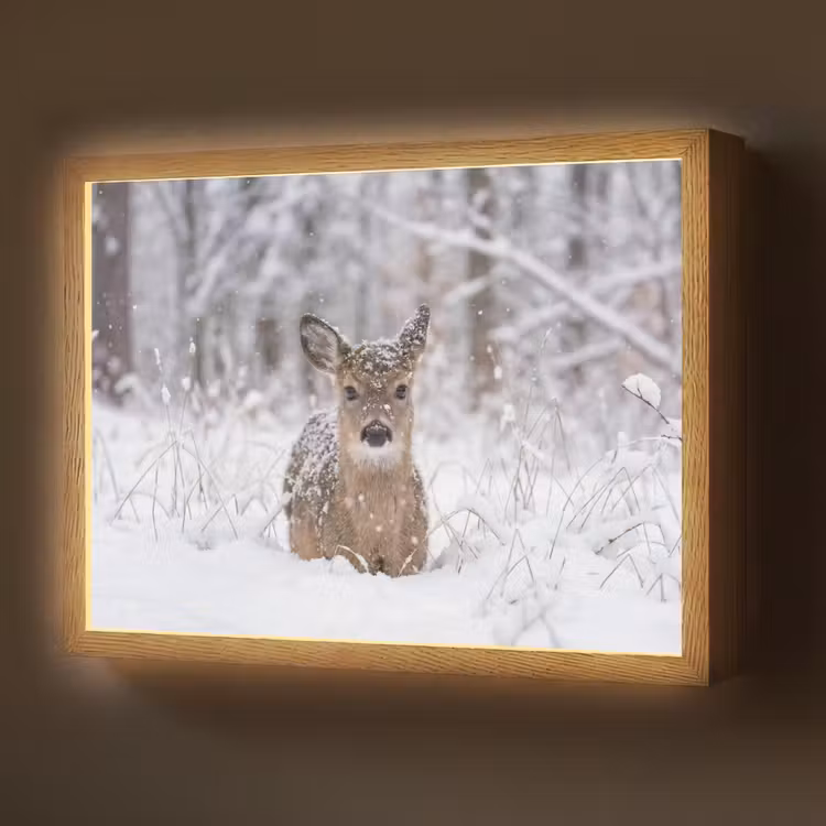 Hert - Sneeuw - Bos - Dieren - Vertederend Light Box met batterij (Wandlamp) middel -z3d_website